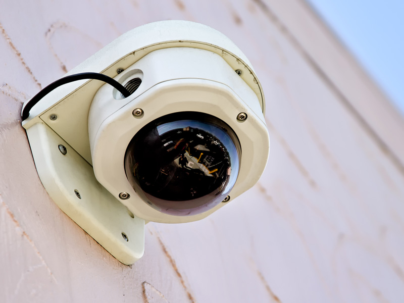 Etiam commodo convallis